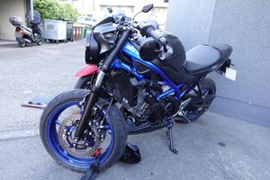 2021 Suzuki SV 650/SV 650 S/TL 1000 R/TL 1000S/SV 1000/SV 1000 S - AV22/BY21/AV13/AV21/BY22/AV11/AG32/AM32/BX31/BX62/BX32/BX61 ab Modell 2000 SV 650 AV22/BY21/AV13, 48 HP