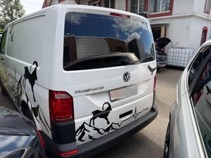 2017 VW T6 Kaw. 3000 2.0 TDI 150 4motion, 150 HP